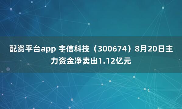 配资平台app 宇信科技（300674）8月20日主力资金净卖出1.12亿元