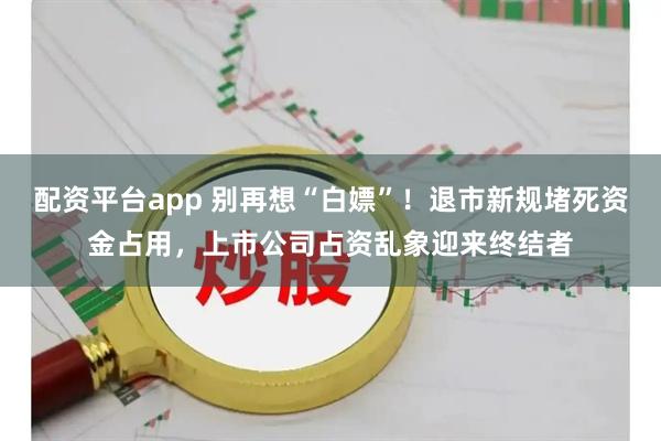 配资平台app 别再想“白嫖”！退市新规堵死资金占用，上市公司占资乱象迎来终结者